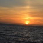 Cambria_0315 (November 02, 2013)